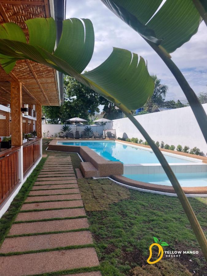 Yellow Mango Resort Bohol Panglao Dış mekan fotoğraf